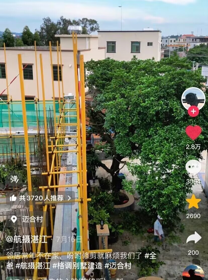 是全红婵, 枝叶修剪 是全红婵, 枝叶修剪